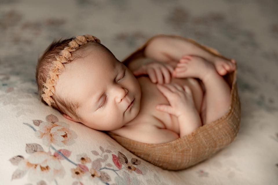 Credit Arielle Elizabeth Photography