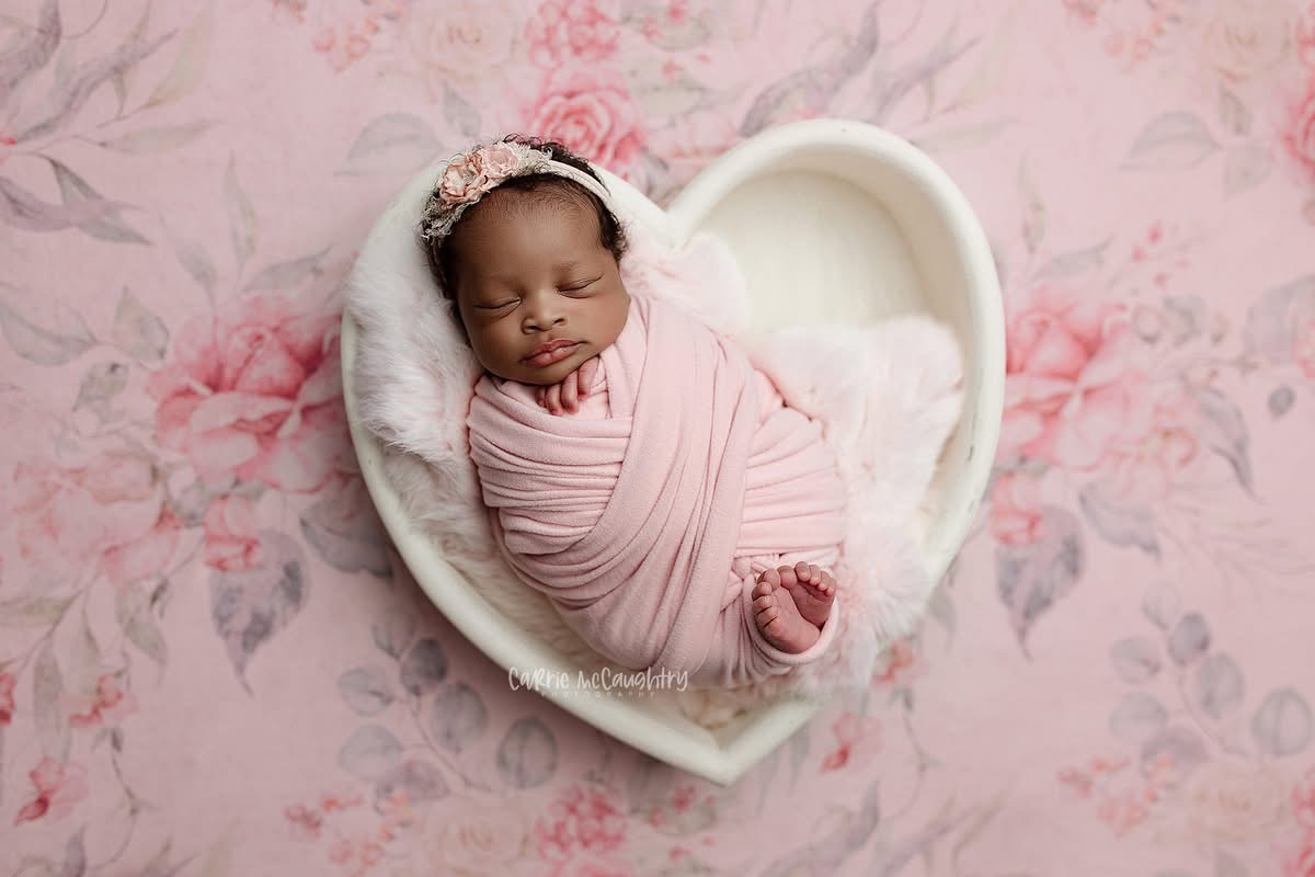 Credit Carrie McCaughtry Photography