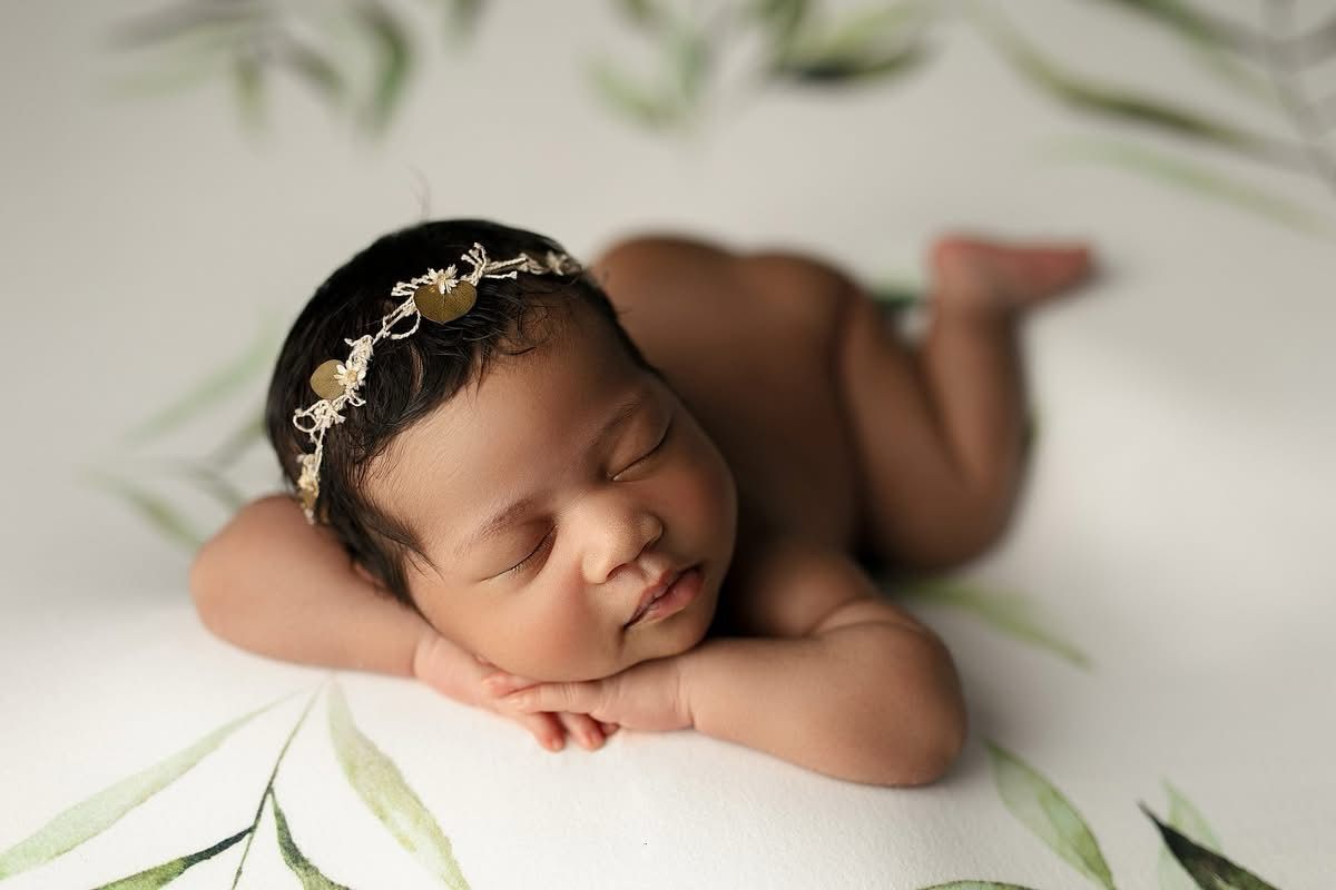 Princess Joey | Planted (Preorder)