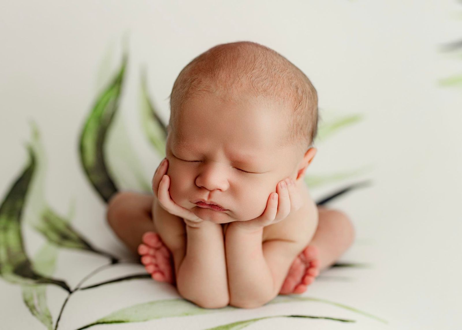 Princess Joey | Planted (Preorder)