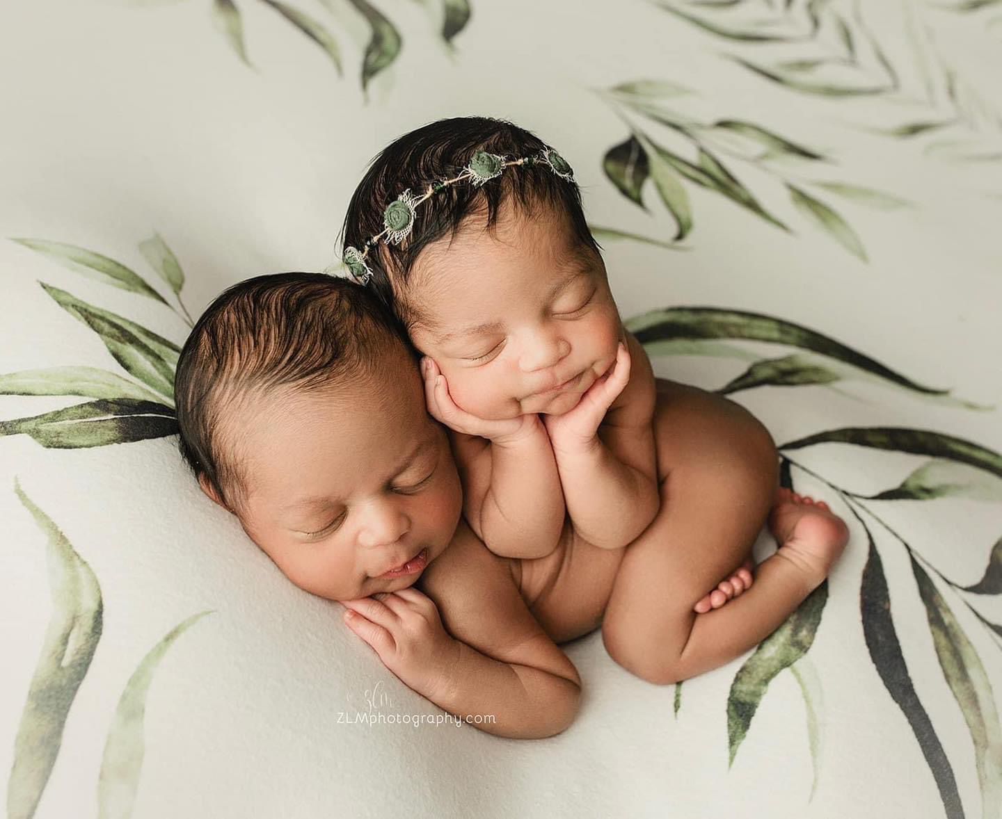 Princess Joey | Planted (Preorder)