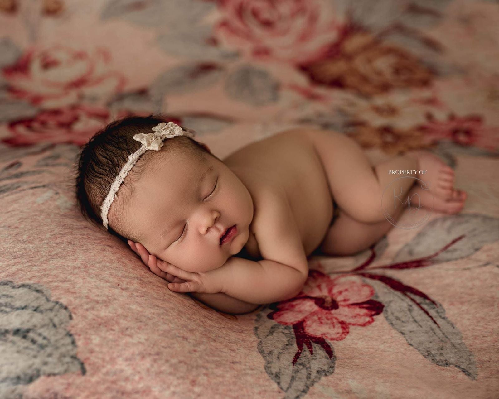 Credit Kimberly Diane Photography