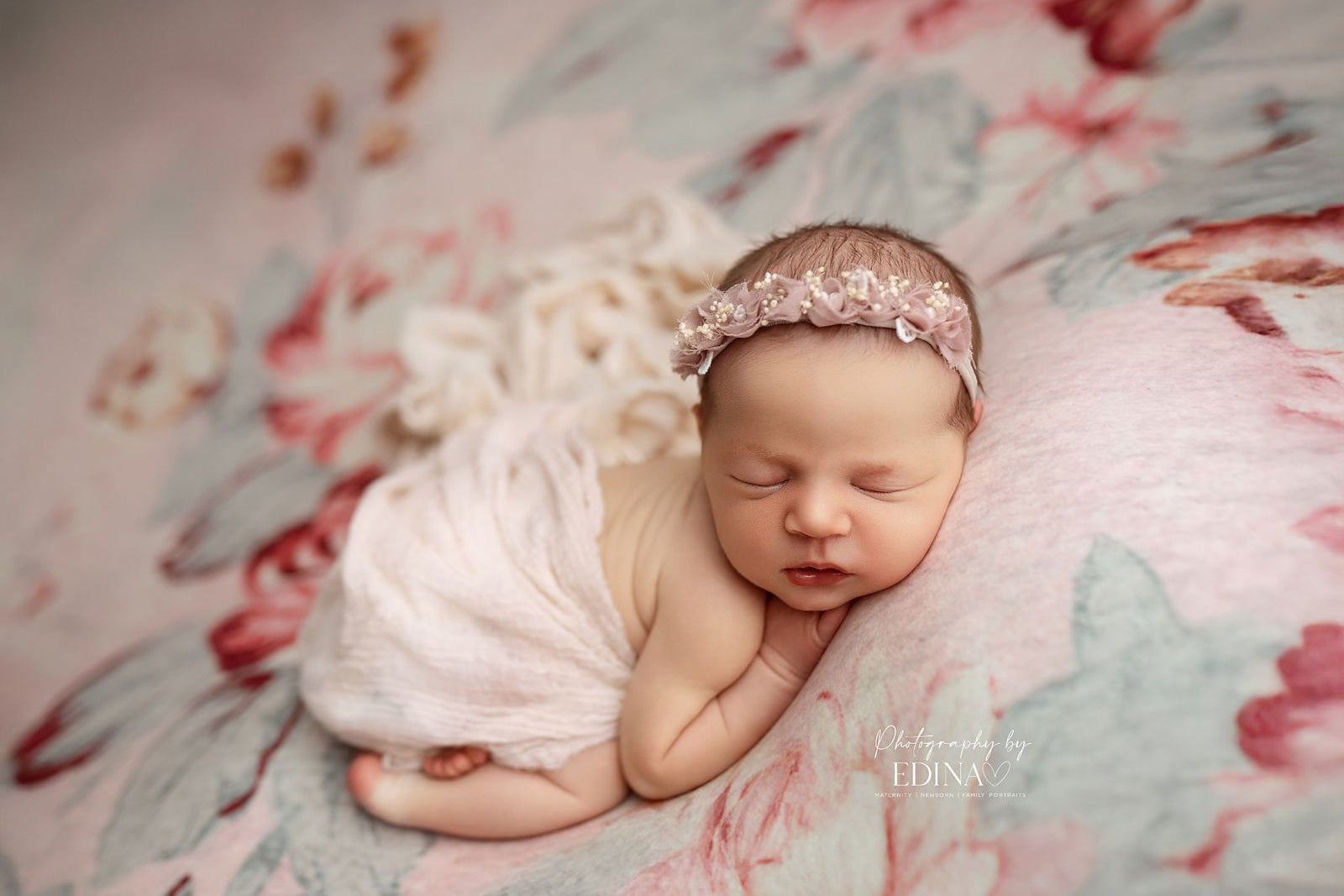 Credit Photography by Edina