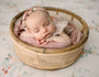 Credit Amy Skarzenski Photography