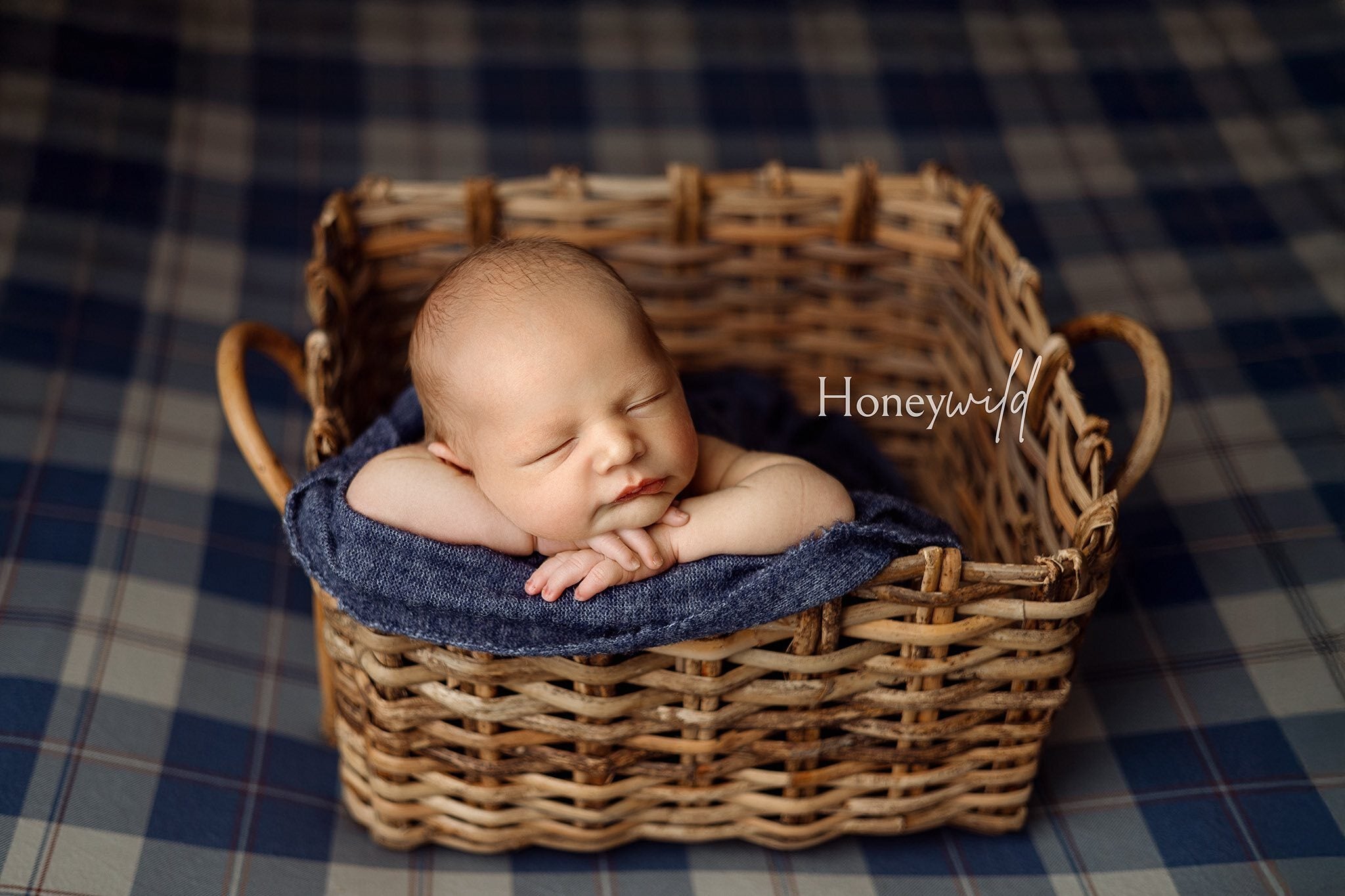 Credit Honeywild Photography
