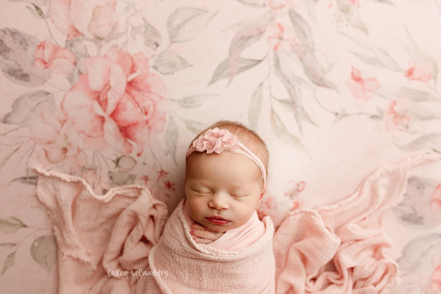 Credit Carrie McCaughtry Photography