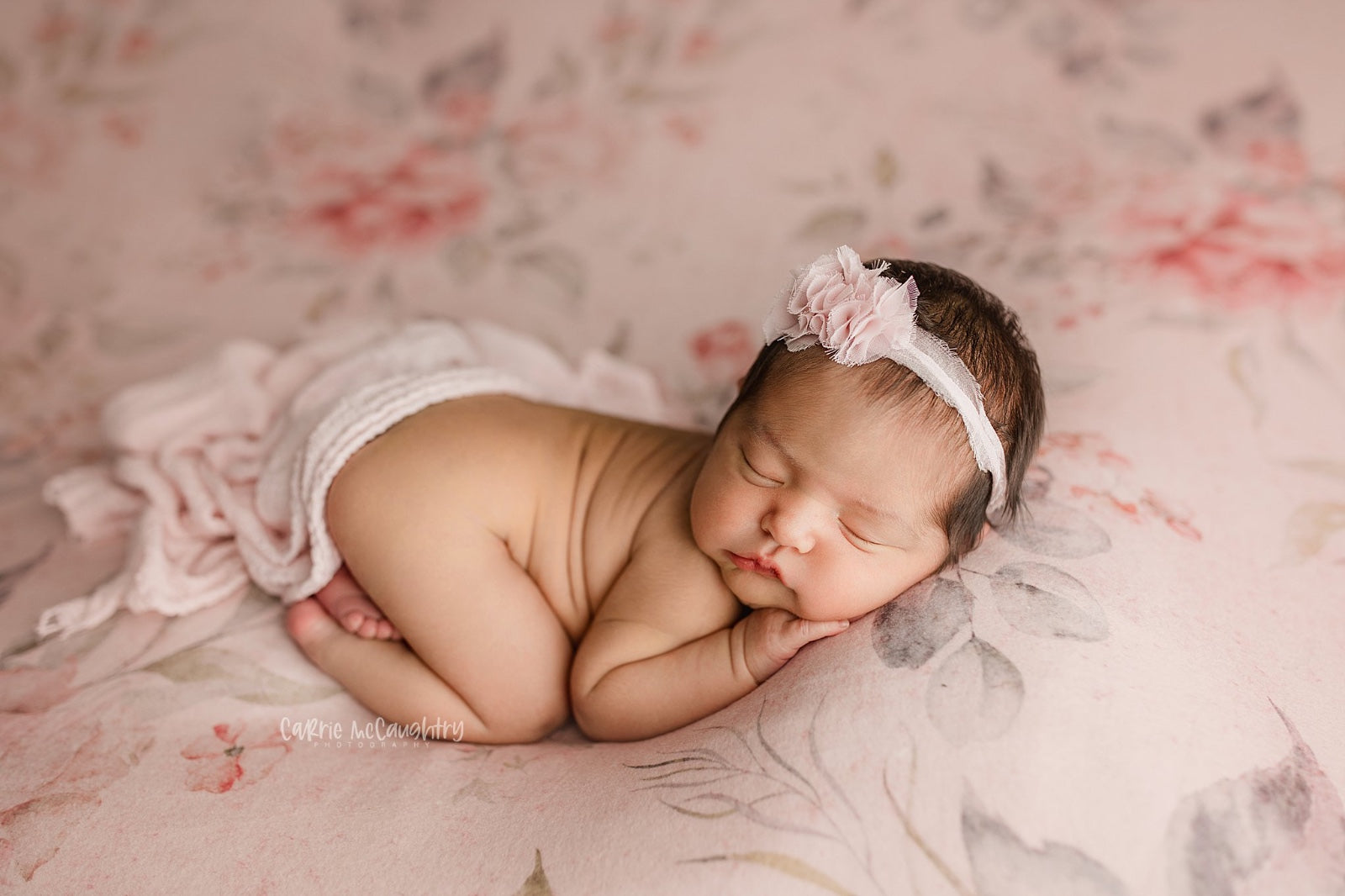 Credit Carrie McCaughtry Photography