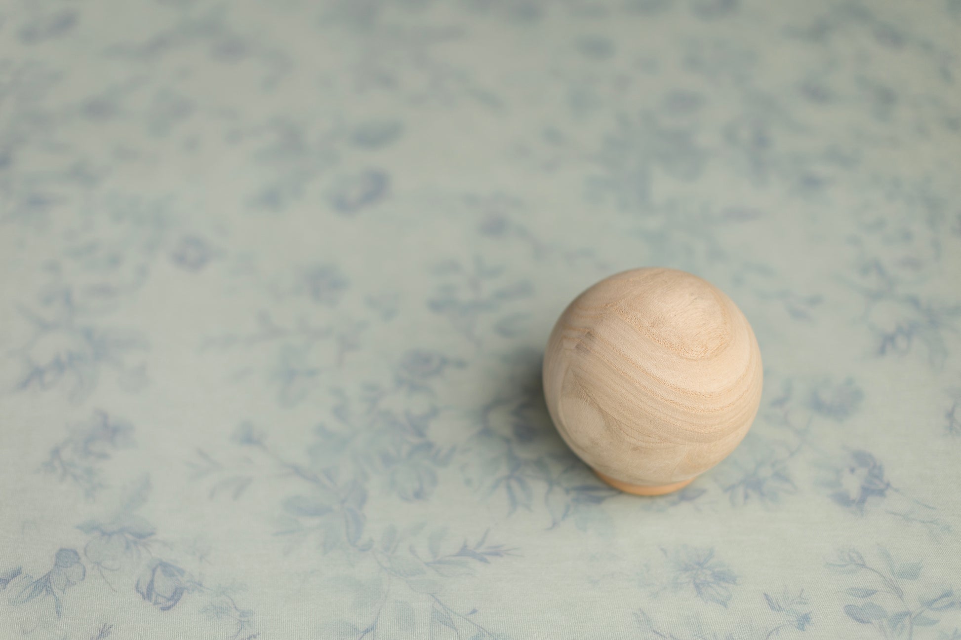 Princess Mr. Treeger | Blue Veil