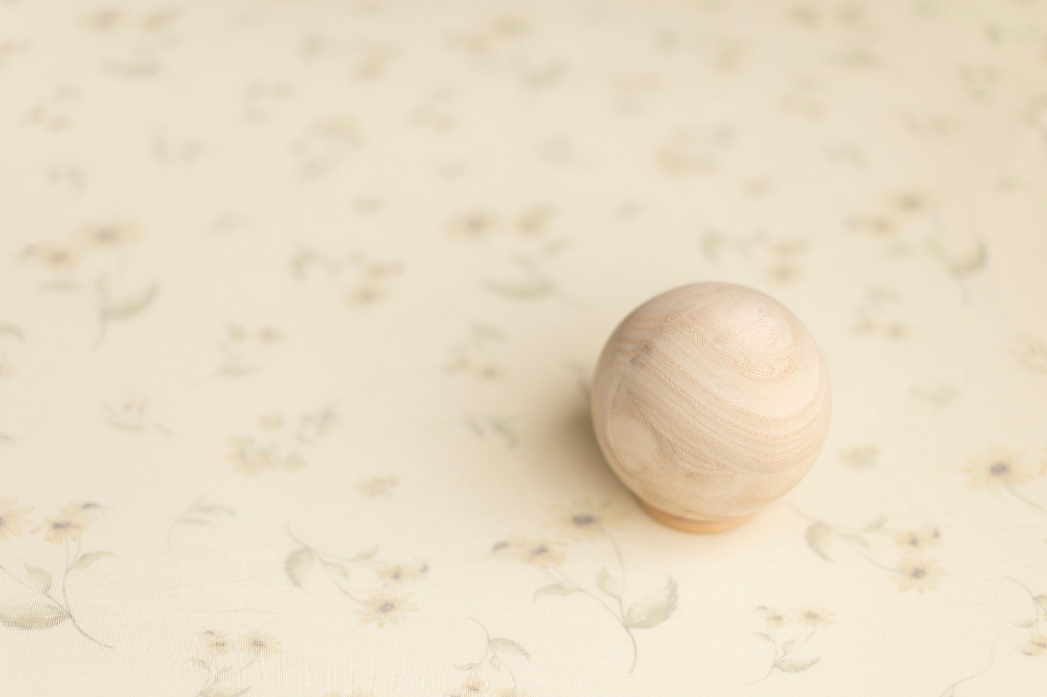 Princess Mr. Treeger | Sunlit Prairie