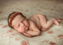 Credit Kimberly Diane Photography