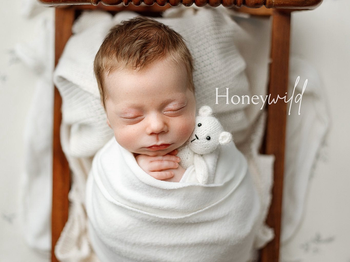 Credit Honeywild Photography