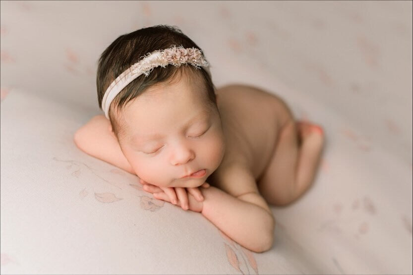 Credit ZLM Photography