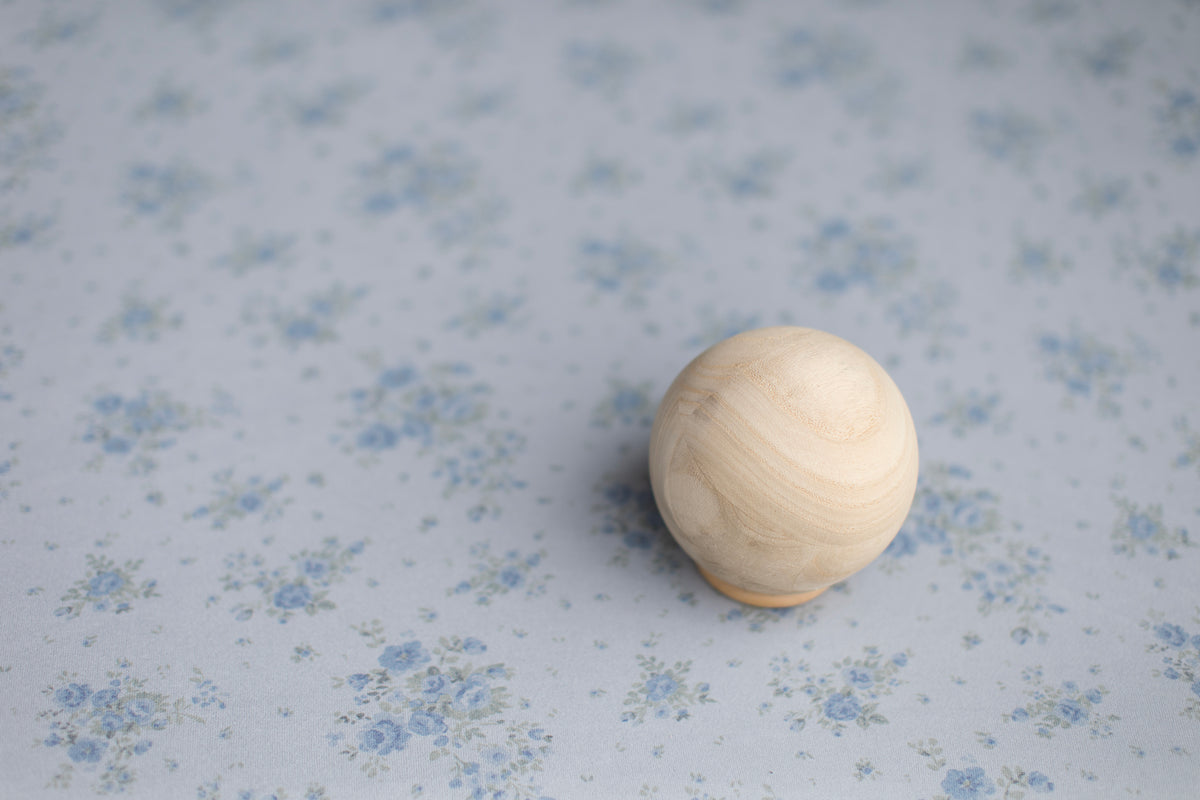 Princess Pivot | Blue Me Away – Hello Little Props