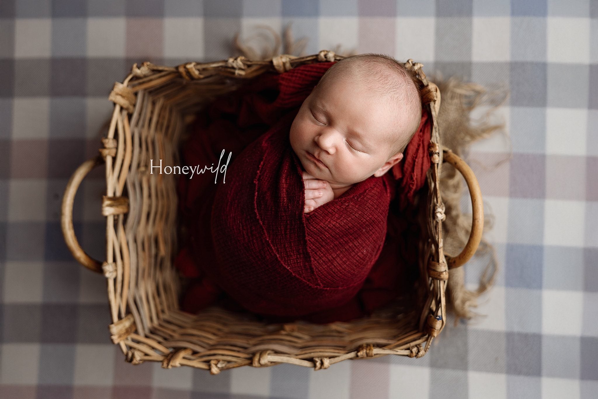 Credit Honeywild Photography