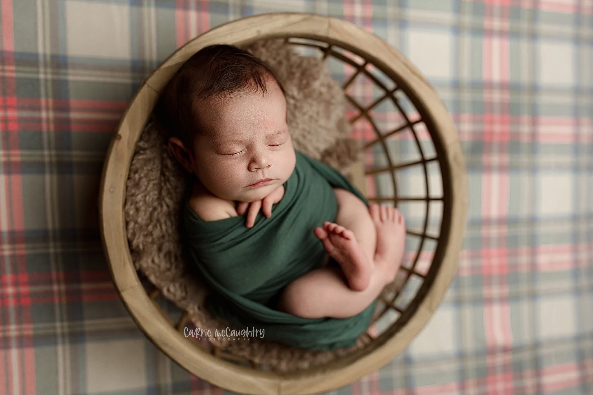 Credit Carrie McCaughtry Photography