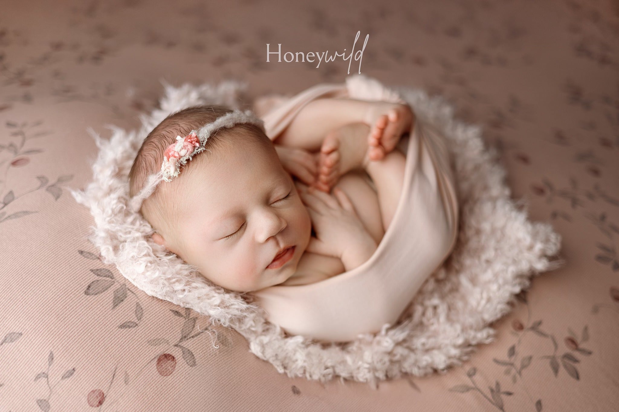 Credit Honeywild Photography