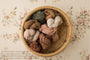 Princess Geller | Dried Bunches / Oil Green, Antiqued, Frosted Petal, Antique Coral, Pamplemousse, Tan Sack, Pristine, Tobacco Brown + Full Moon Vessel