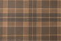 Princess Geller | Wrapped in Plaid