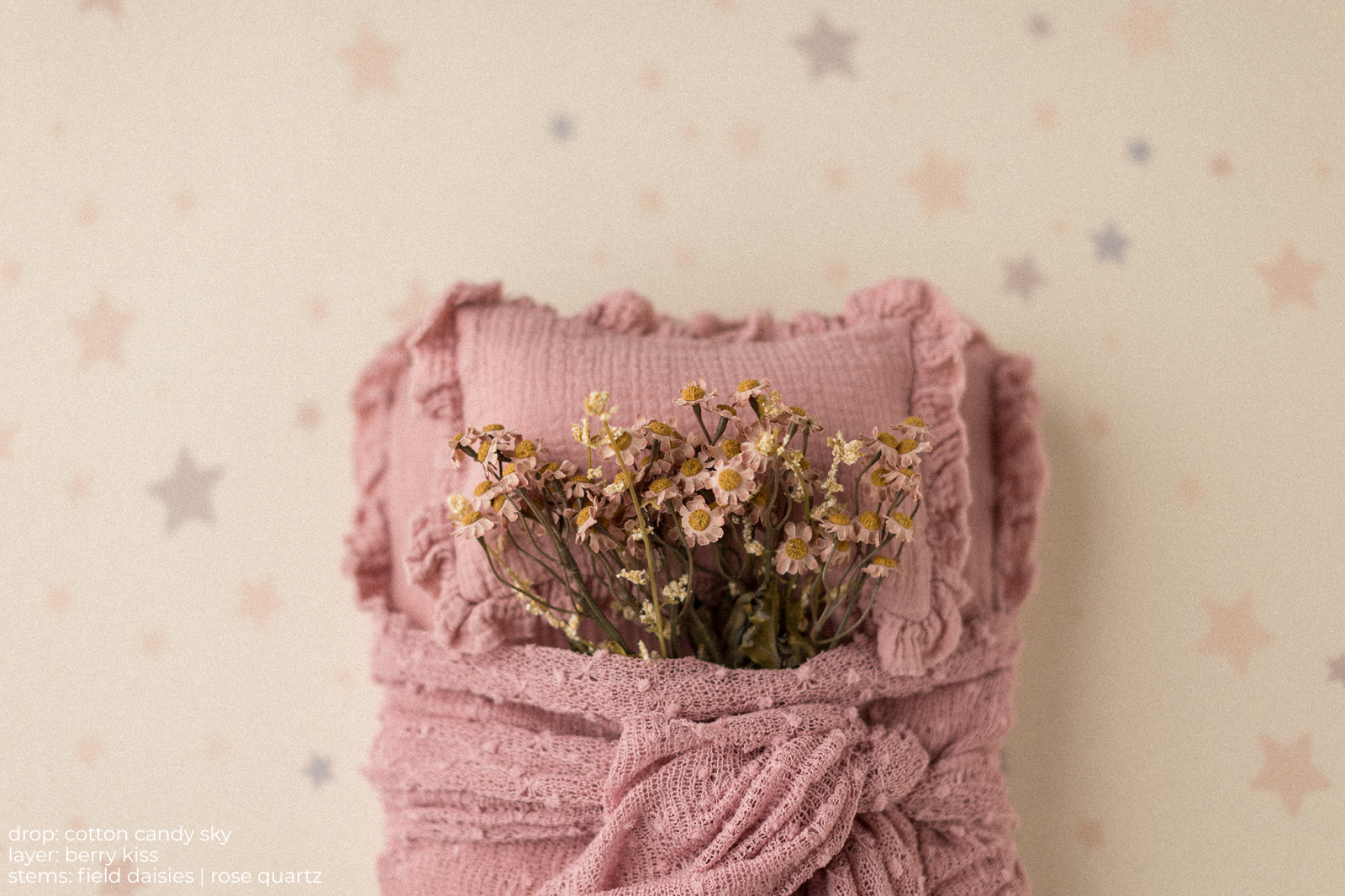 Stems | Field Daisies