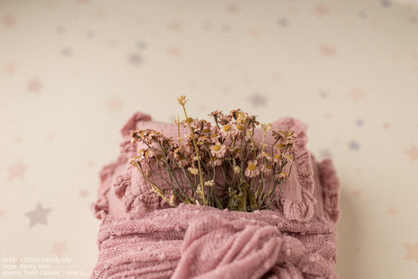 Stems | Field Daisies