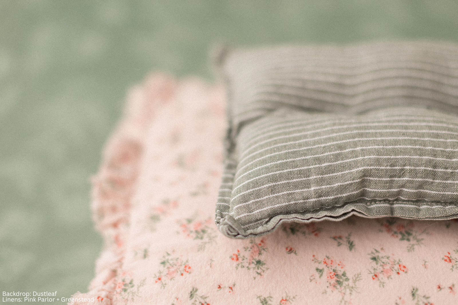 Princess Geller | Dustleaf
