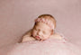 Credit Carrie McCaughtry Photography