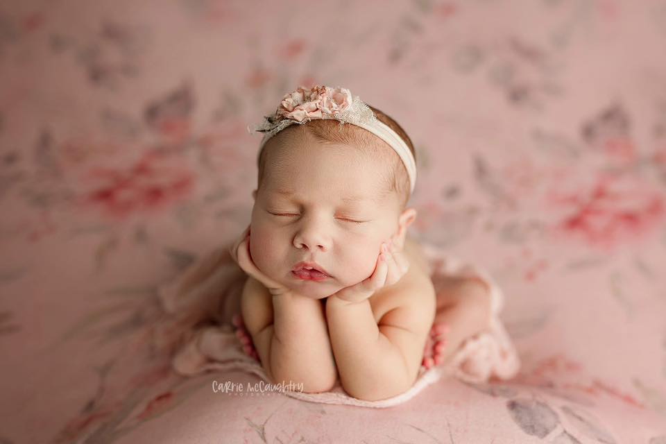 Credit Carrie McCaughtry Photography 