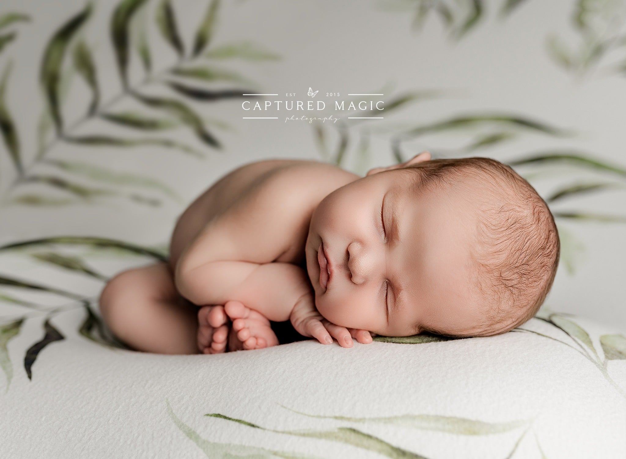 Credit Captured Magic Photography