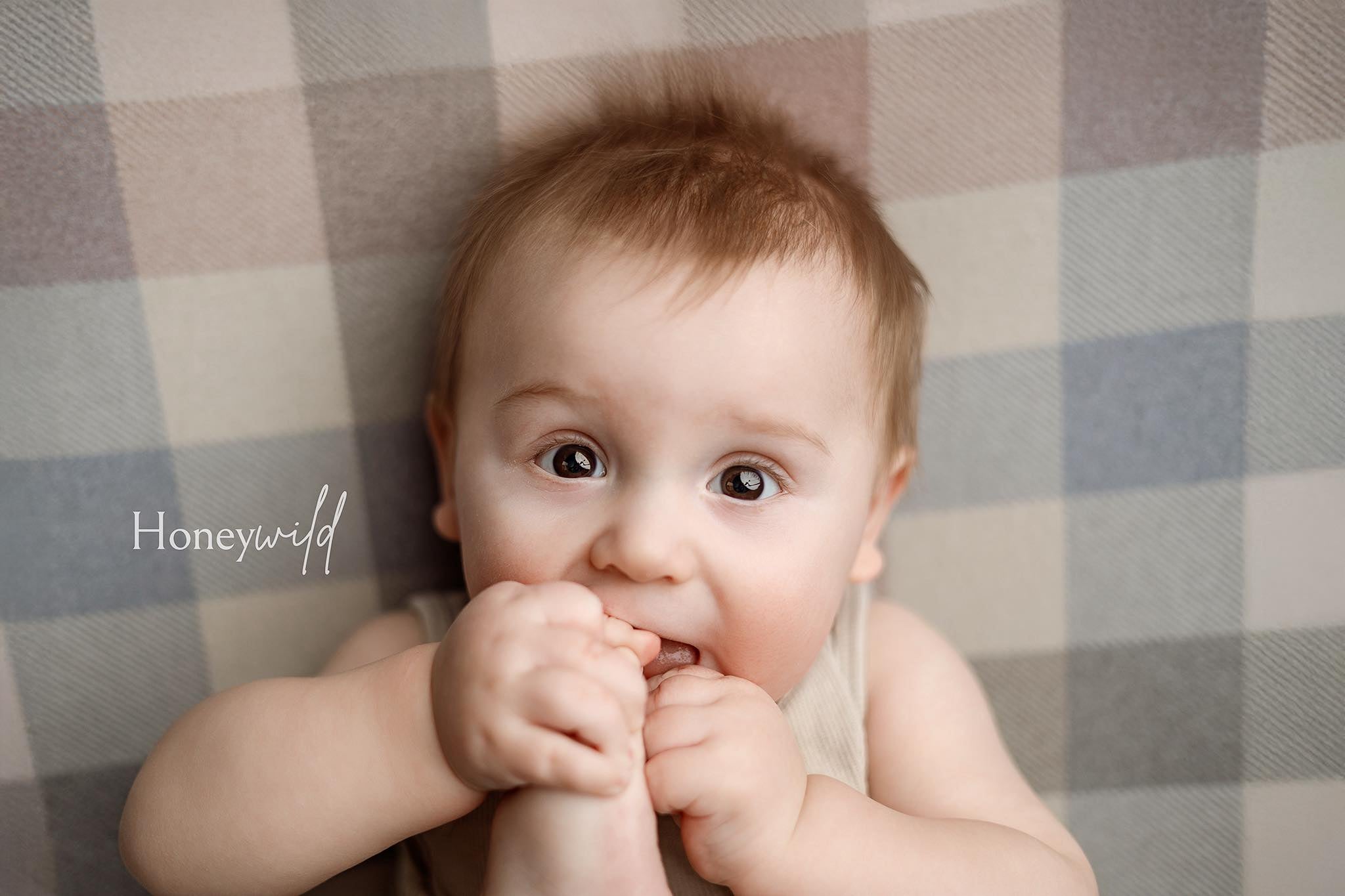 Credit Honeywild Photography