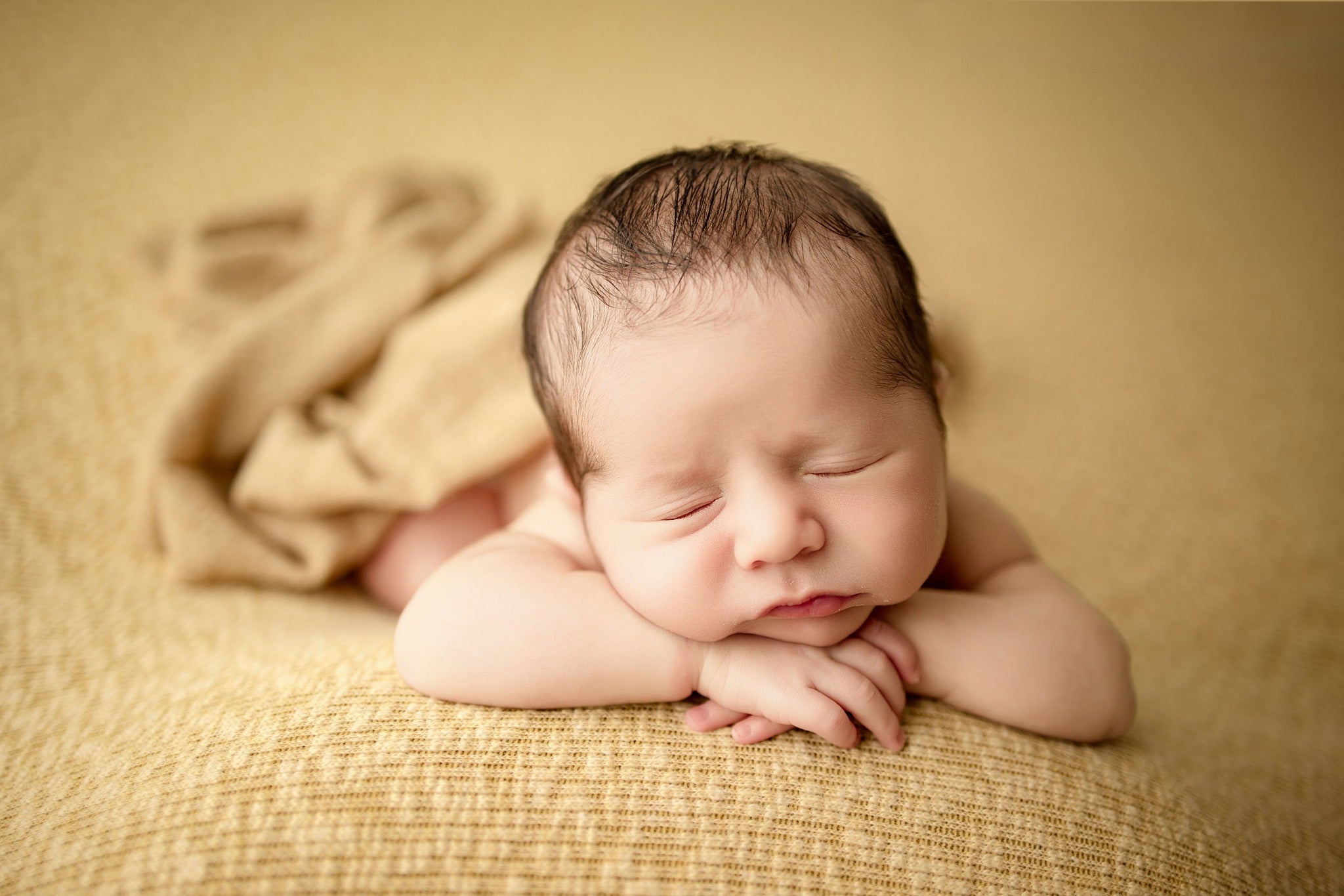 Credit Rachel Ann Photography