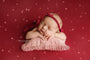 Credit Carrie McCaughtry Photography