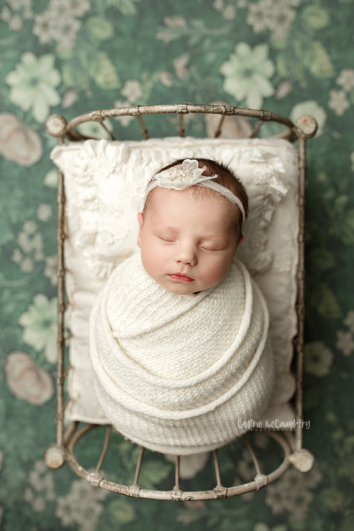 Credit Carrie McCaughtry Photography