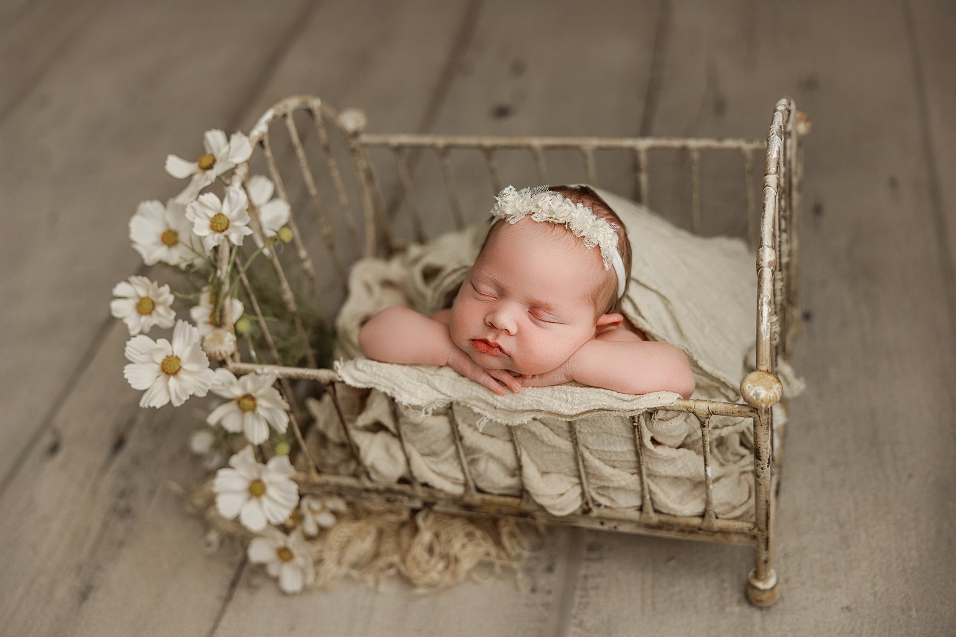 Credit Kadi Davis Photography