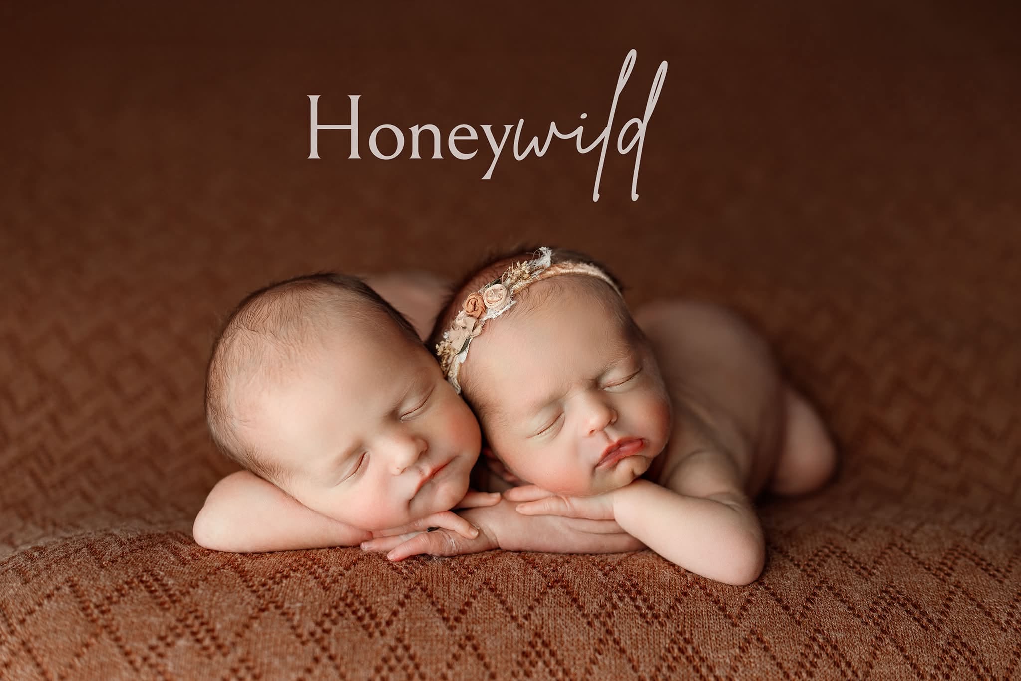 Credit Honeywild Photography