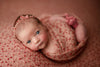 Credit Salina Pennington Photography