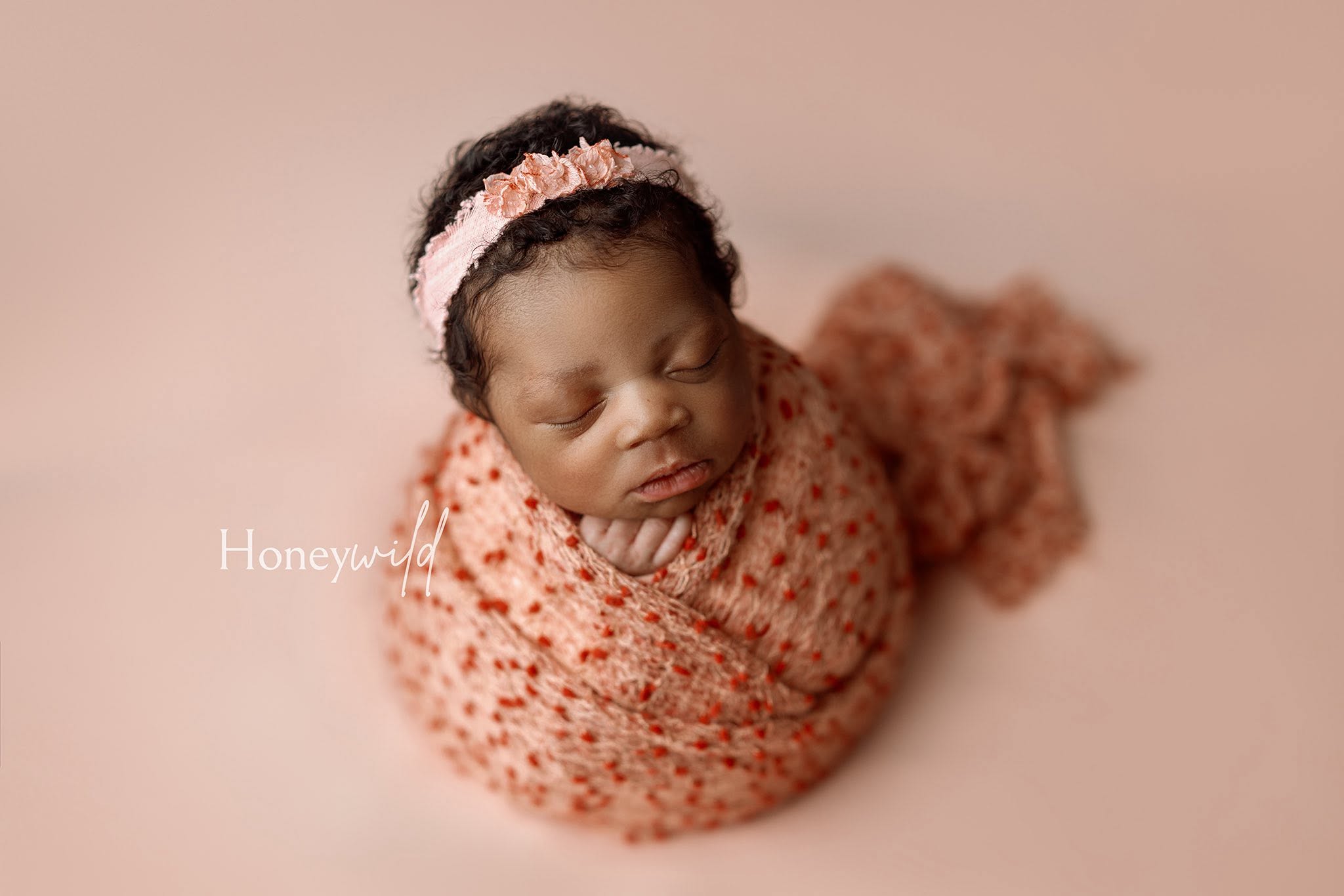 Credit Honewyild Photography