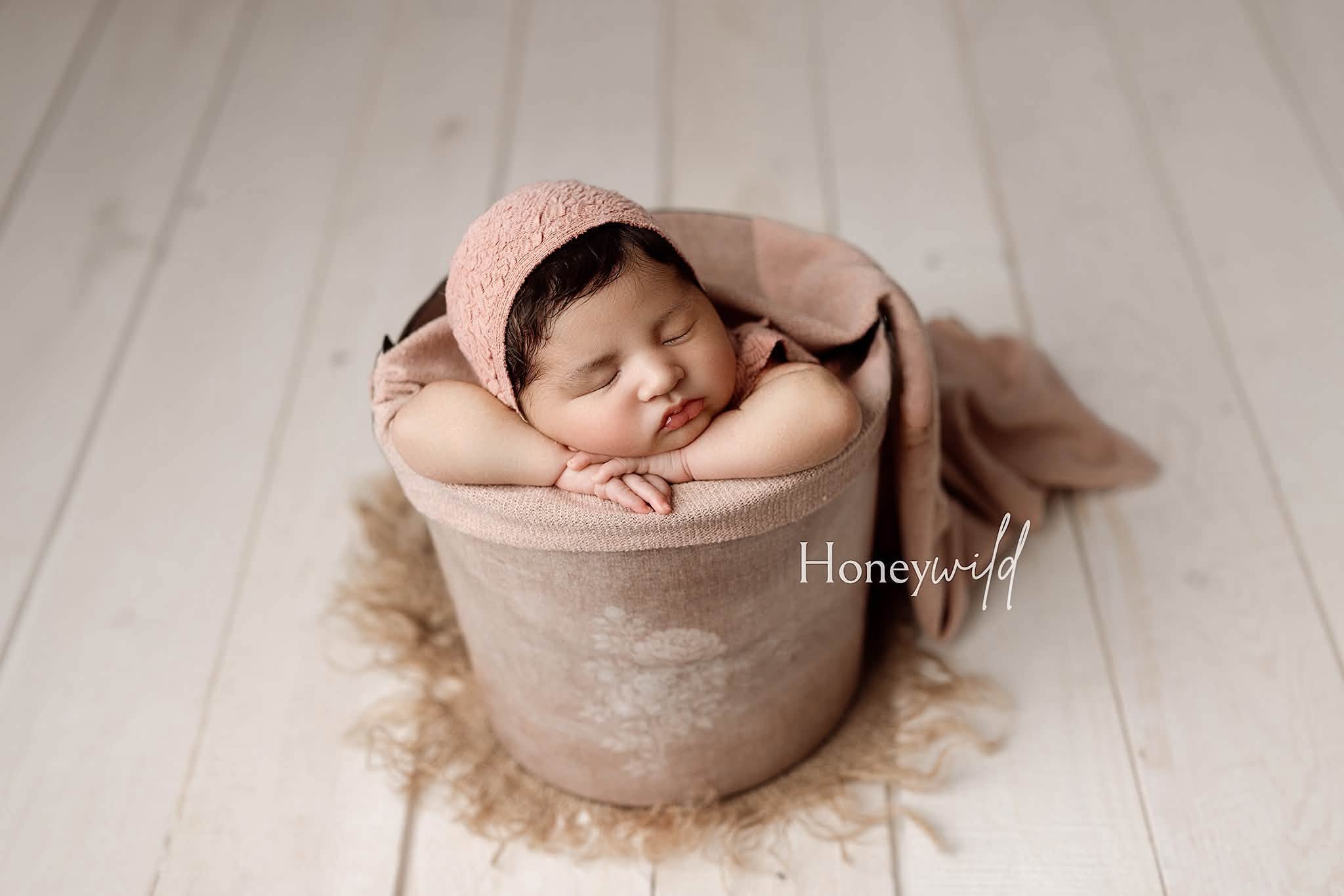 Credit Honeywild Photography