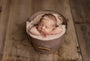 Credit Abby Nelson Photography