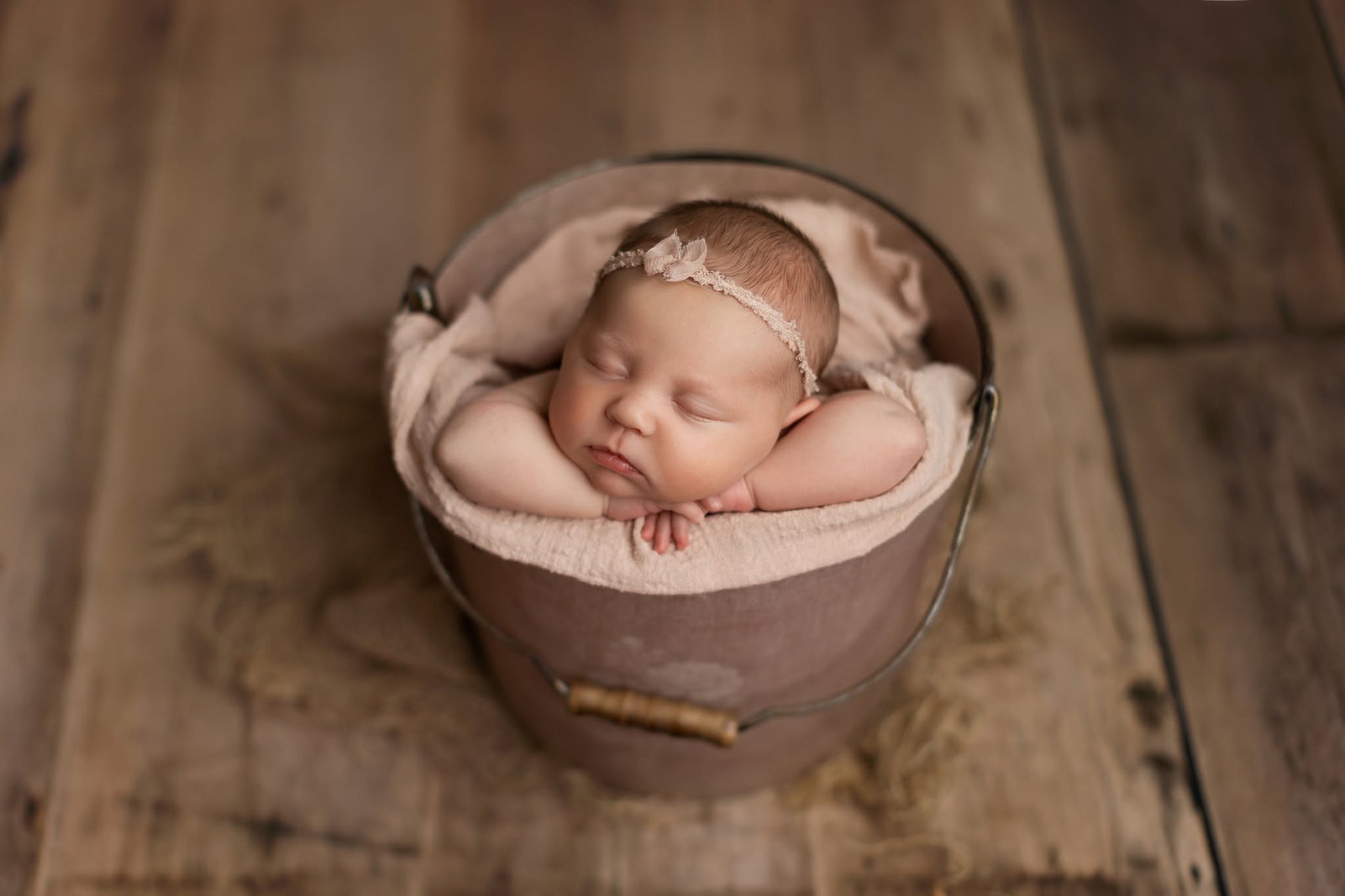 Credit Abby Nelson Photography