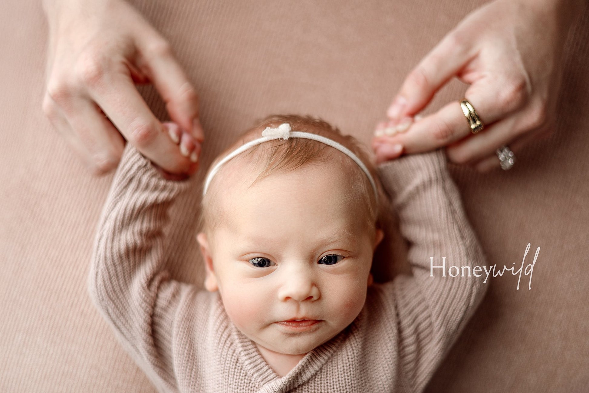 Credit Honeywild Photography
