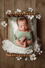 Credit Arielle Elizabeth Photography