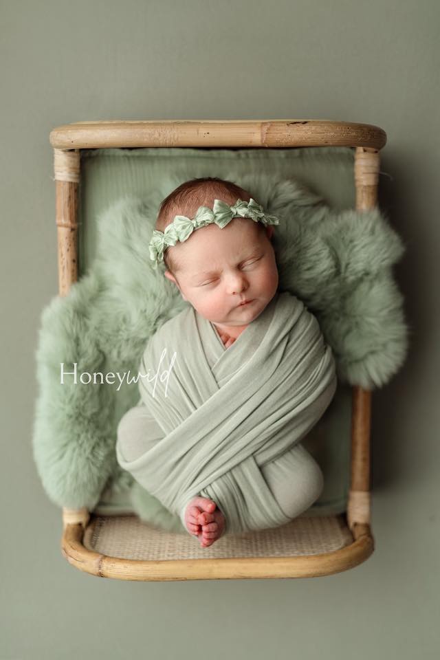 Credit Honeywild Photography