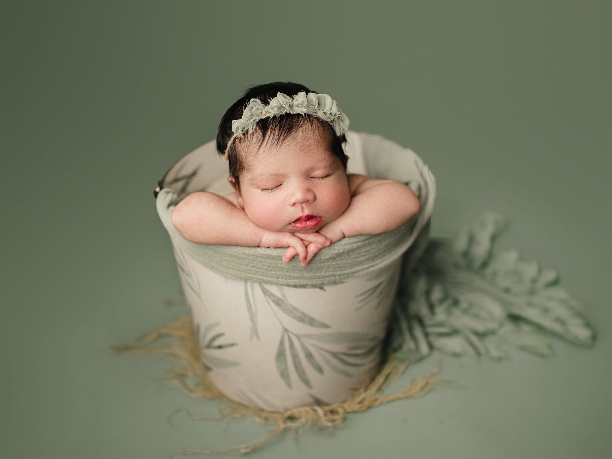 Credit Kimberly Diane Photography