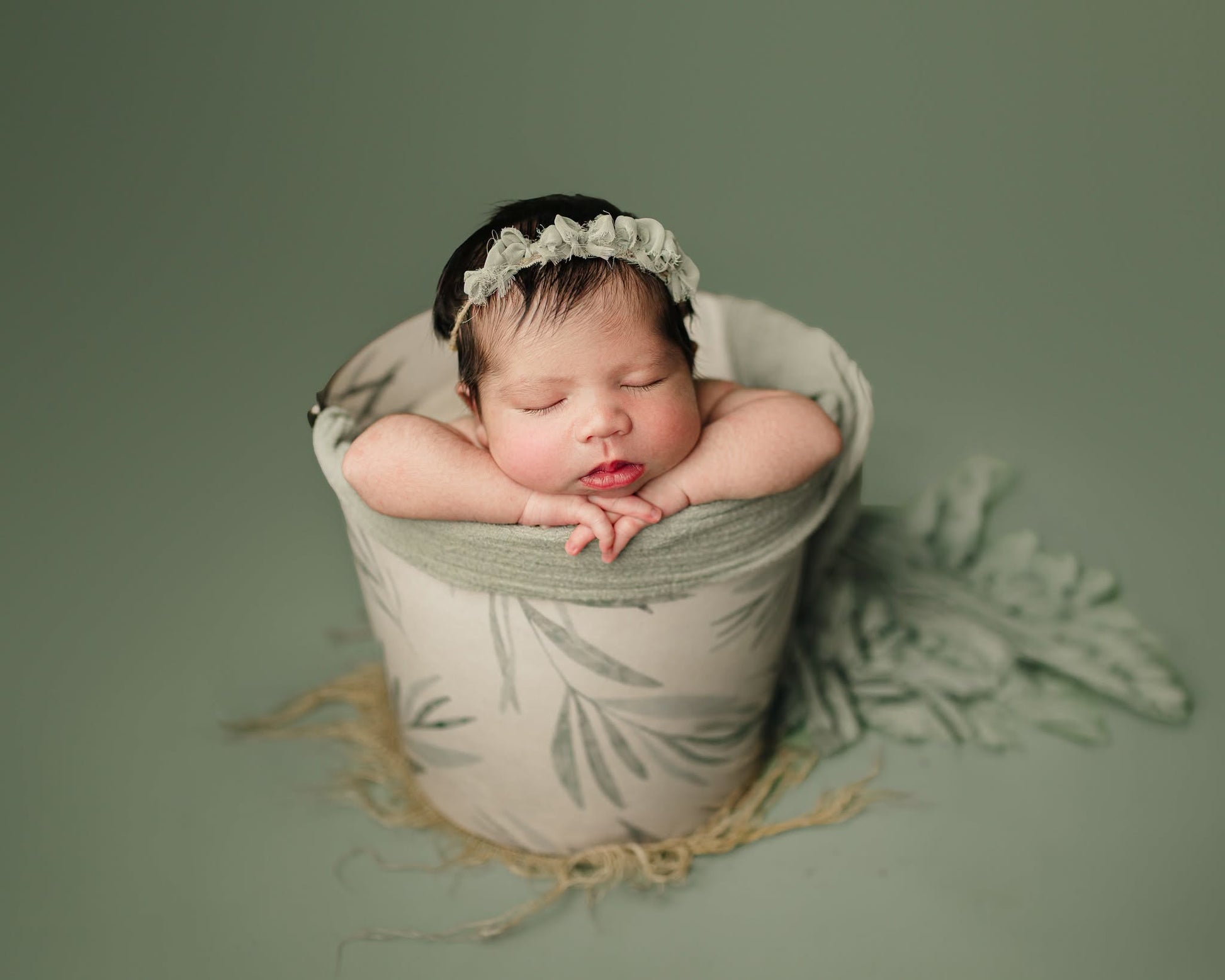 Credit Kimberly Diane Photography