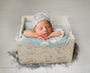 Credit Kimberly Diane Photography 