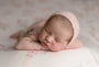 Credit Kasey O'Connor Photography