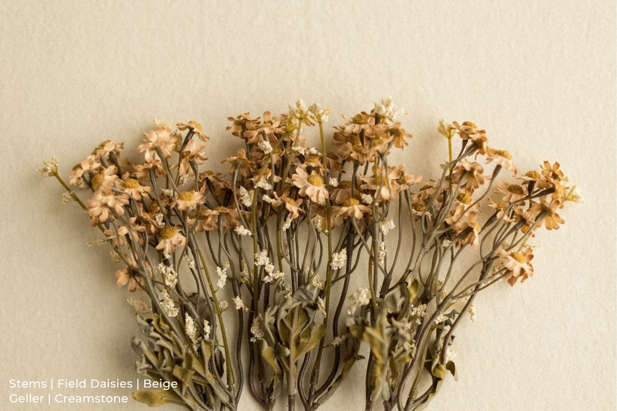 Stems | Field Daisies