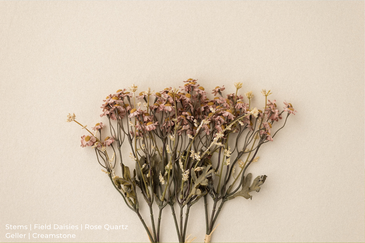 Stems | Field Daisies