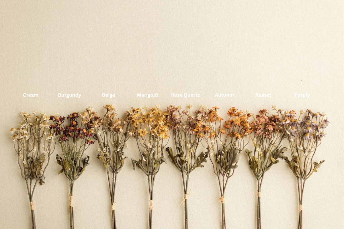 Stems | Field Daisies