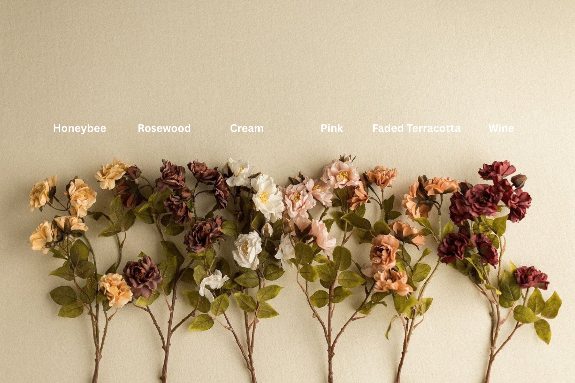 Stems | Roses